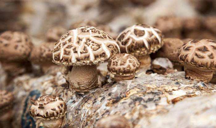 1575019557509281.jpg 0.jpg