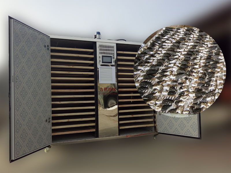 1579078387124030.jpg 羊肚菌烘干.jpg